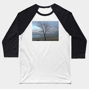 A tree on the beach Baseball T-Shirt